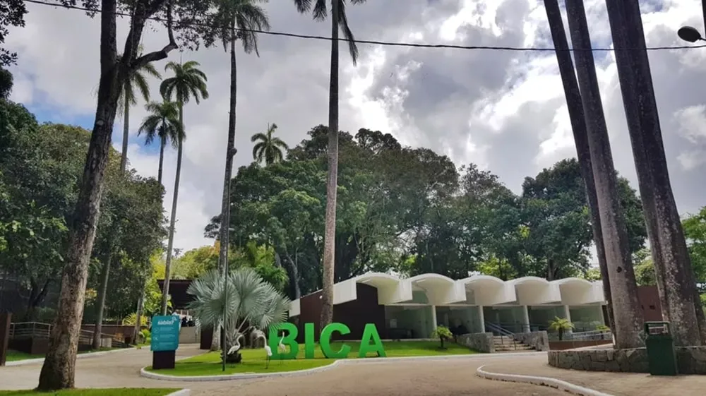 Bica reabre na quinta-feira com visitação liberada após morte de jovem atacado por leoa